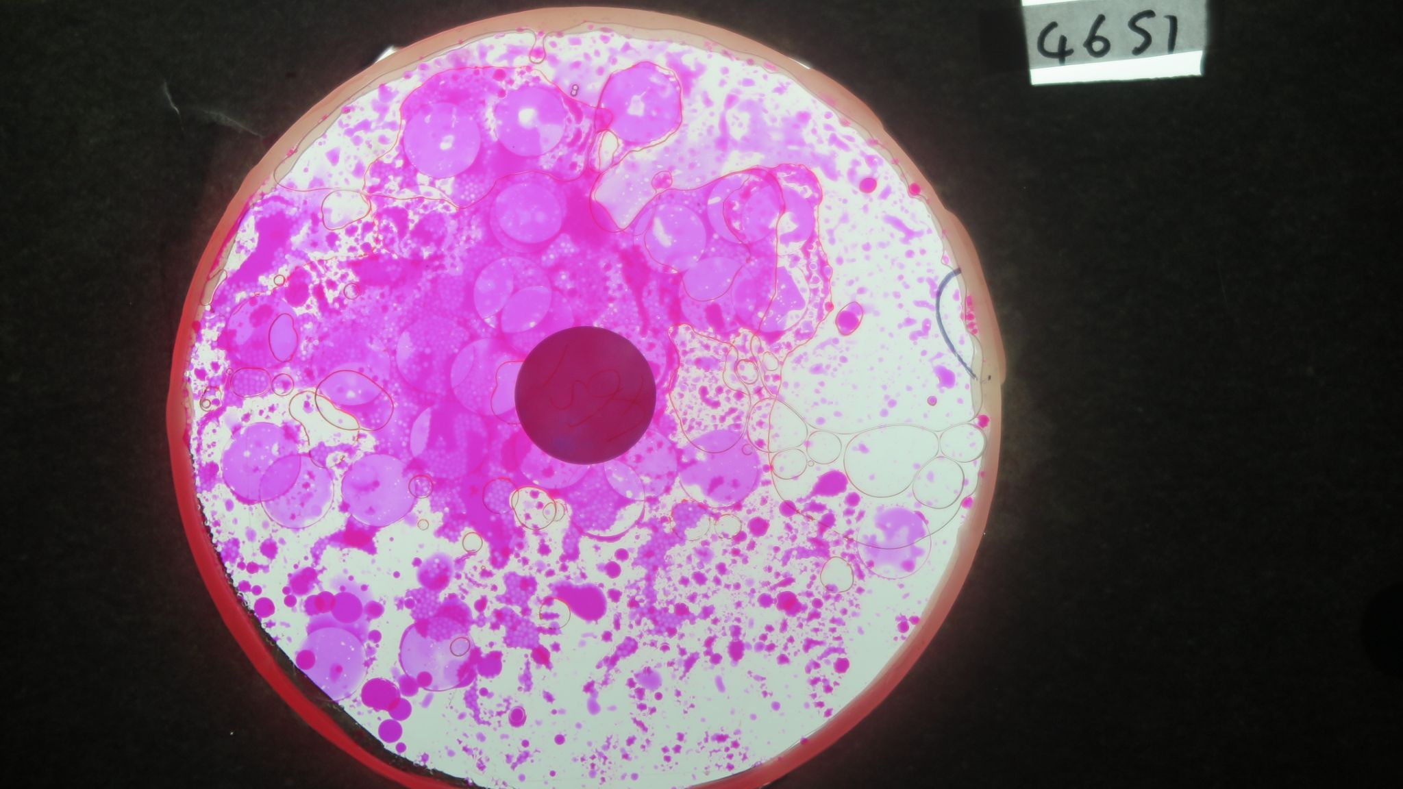 BV4651 bubble vision oil wheel